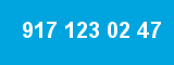 917 123 02 47